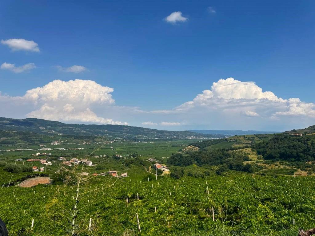 Rustico / casale a Soave in Contrada Meggiano - Foto 2
