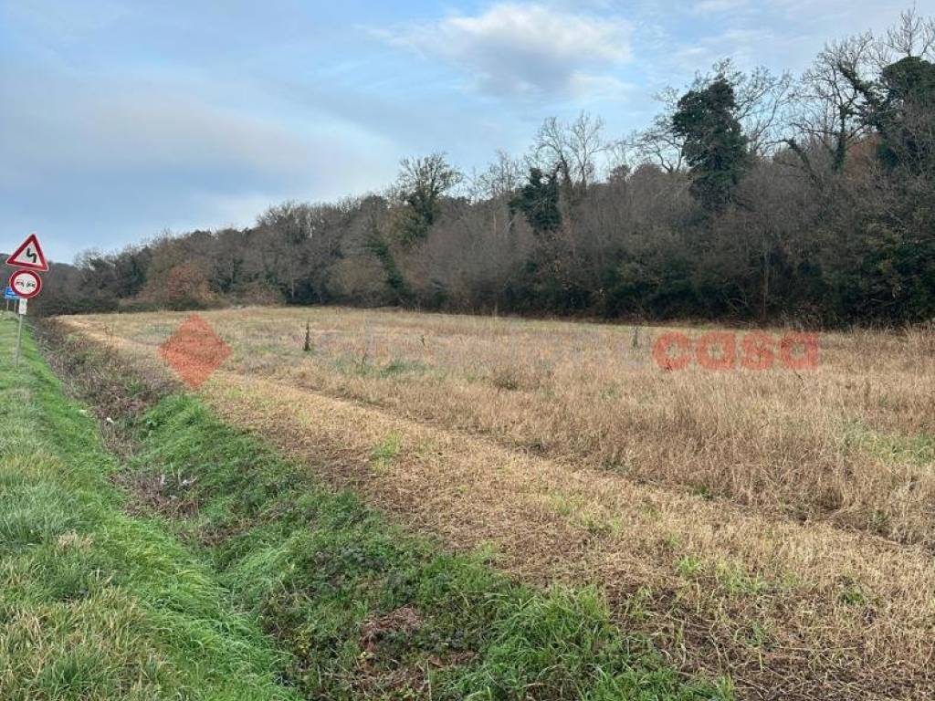 Terreno a Livorno in Via delle sorgenti, snc - Foto 2