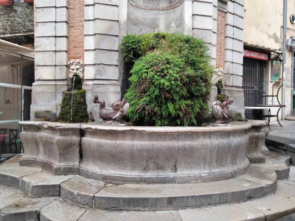 Immobile a Salerno in Piazza Sedile del Campo - Foto 5