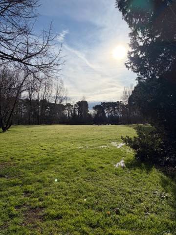 Appartamento a Vecchiano in Via del Mare - Foto 3