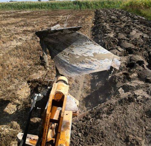 Terreno a Gussola in Strada Provinciale 8 - Foto 4