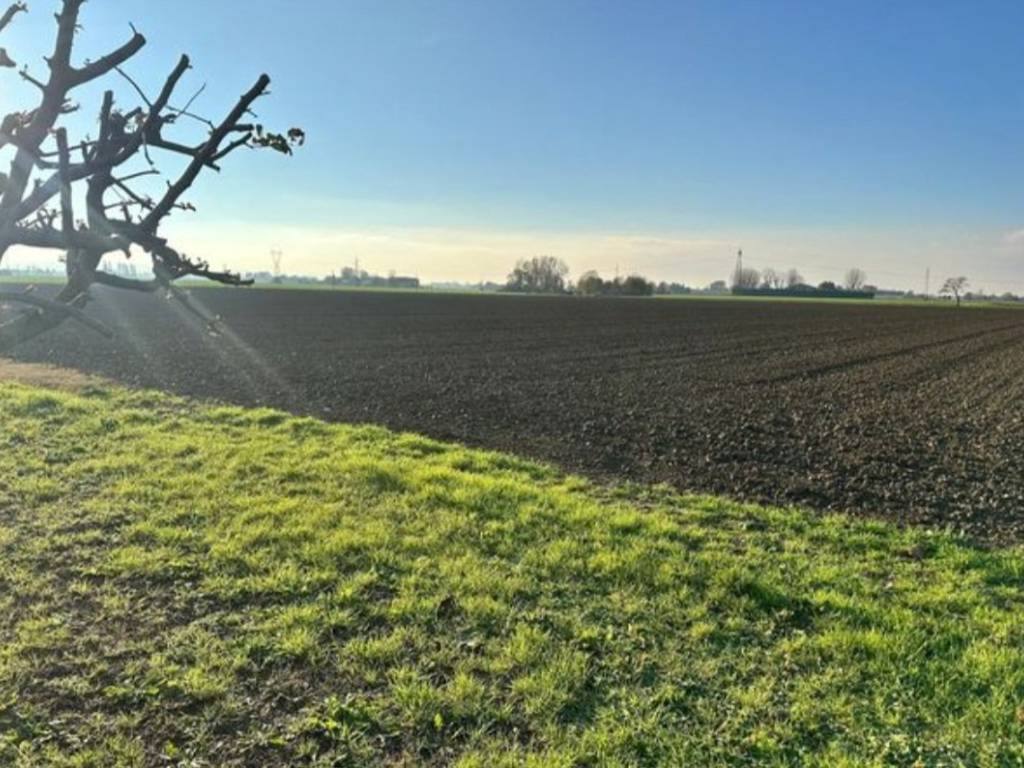 Terreno a Castenaso in Via Bagnarese - Foto 2