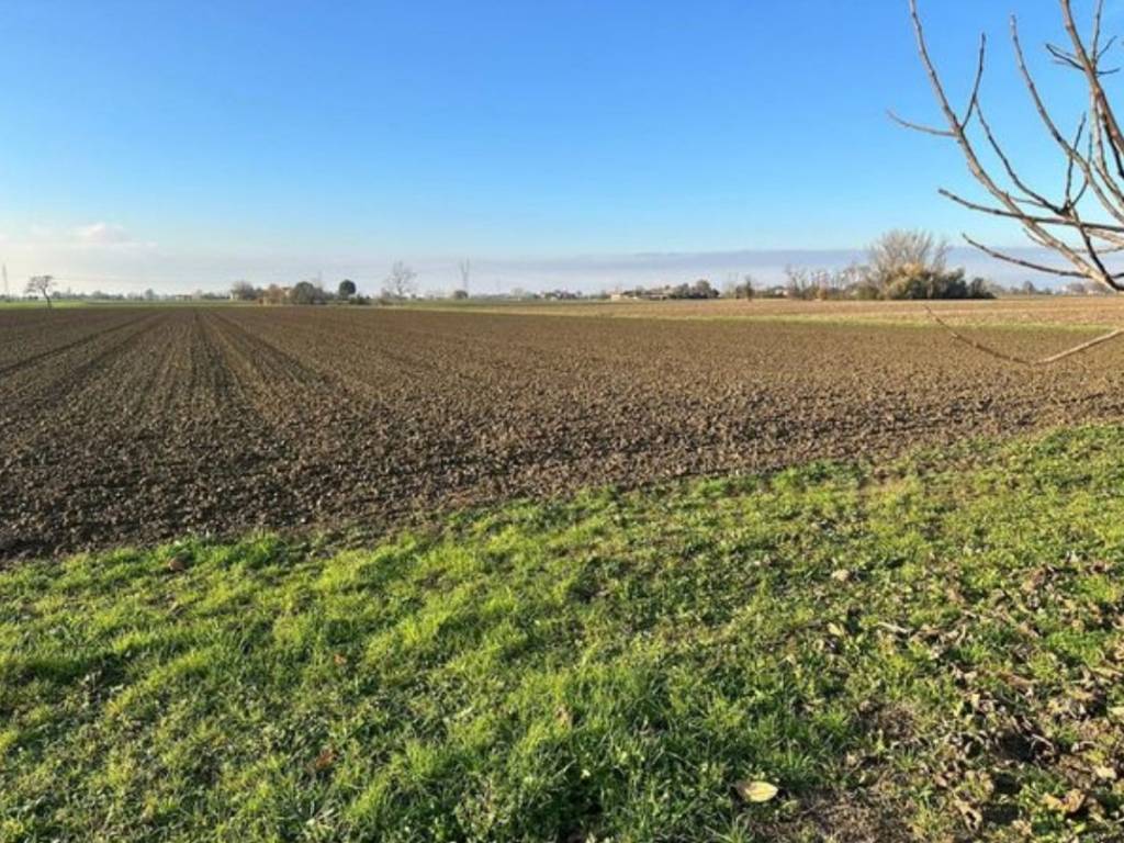 Terreno a Castenaso in Via Bagnarese - Foto 3