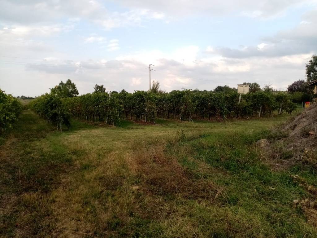Rustico / casale a Castelvetro di modena in Via Sinistra Guerro, 49 - Foto 2