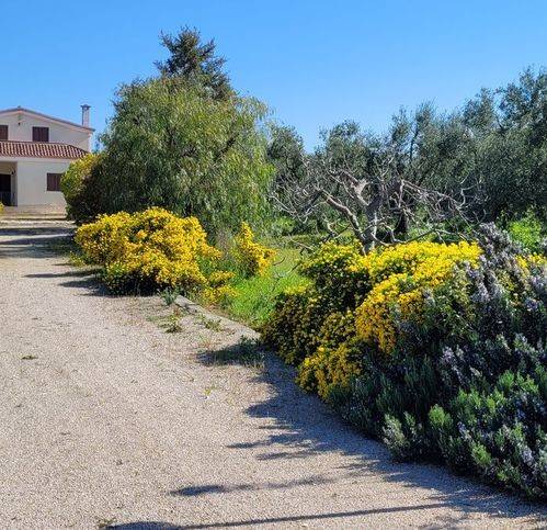 Villa a Corato in Via Capra Fatua - Foto 2