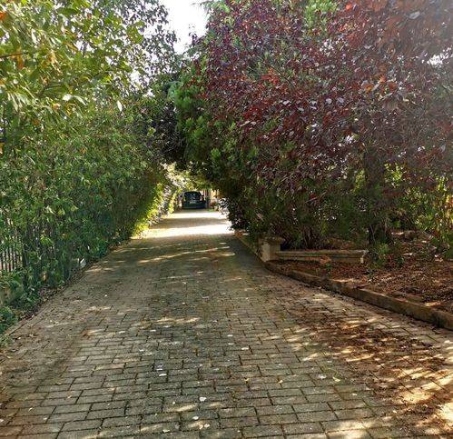 Villa a Corato in Strada Esterna Fungistierno 13 - Foto 3