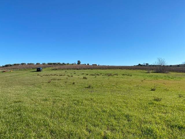 Rustico / casale a Magliano in toscana in Strada Provinciale di Montiano - Foto 3