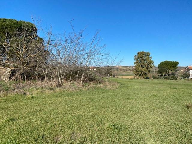 Rustico / casale a Magliano in toscana in Strada Provinciale di Montiano - Foto 4