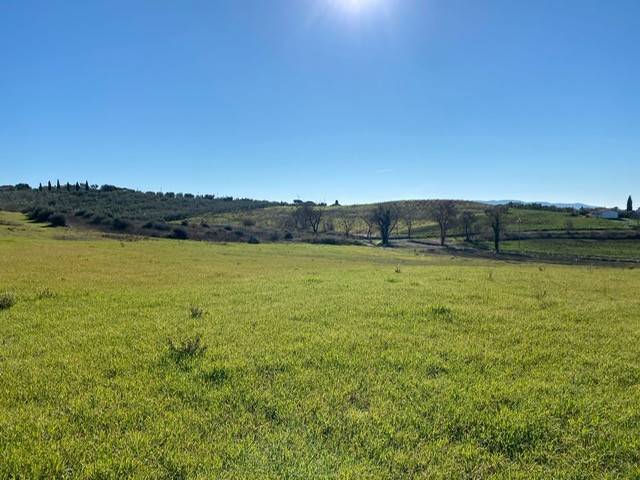 Rustico / casale a Magliano in toscana in Strada Provinciale di Montiano - Foto 5