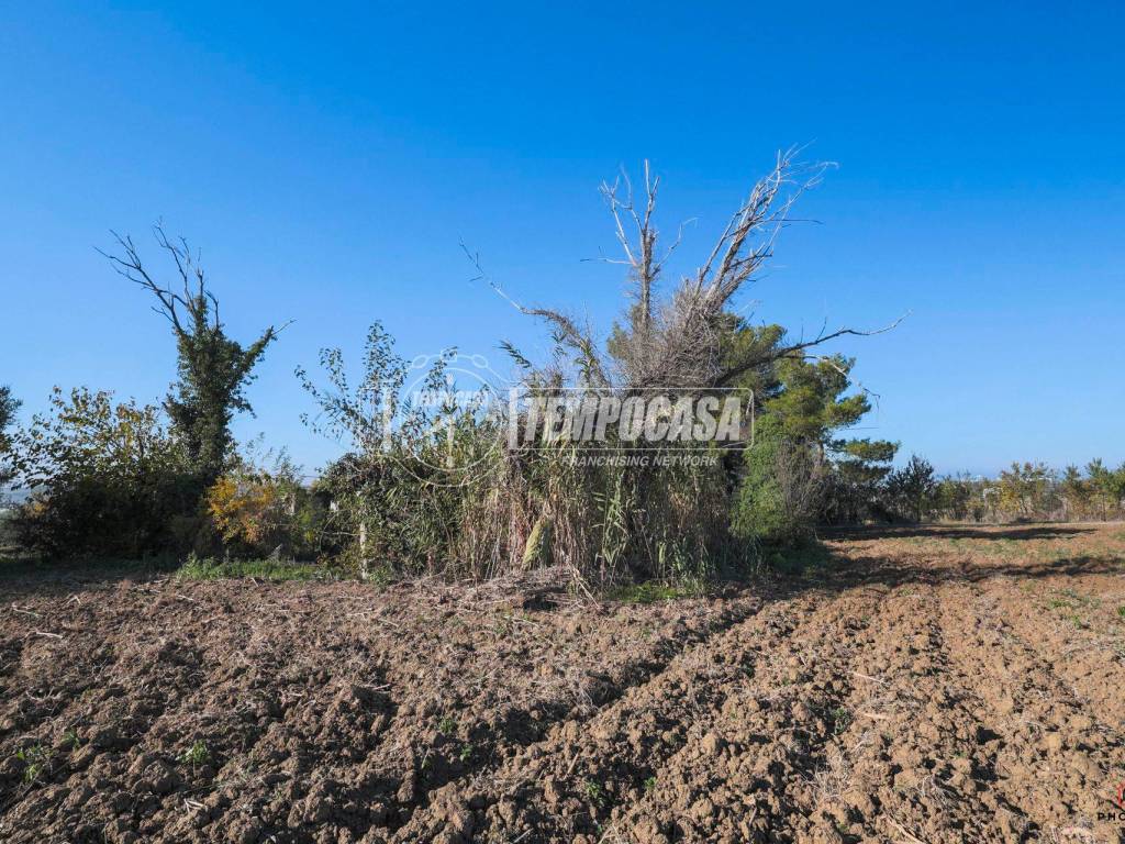 Terreno a Misano adriatico in Via Molara - Foto 4