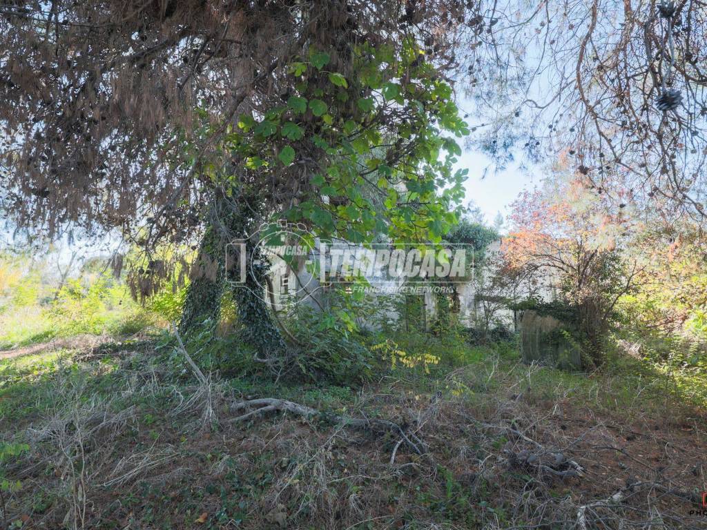 Terreno a Misano adriatico in Via Molara - Foto 5