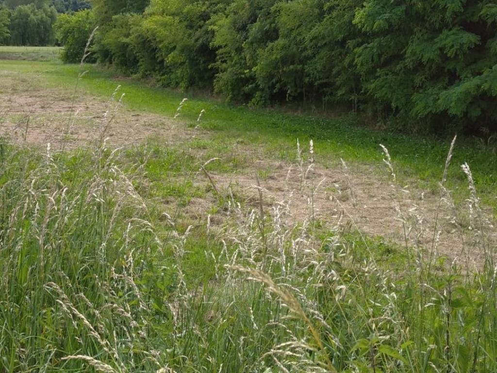 Terreno a Monselice - Foto 4