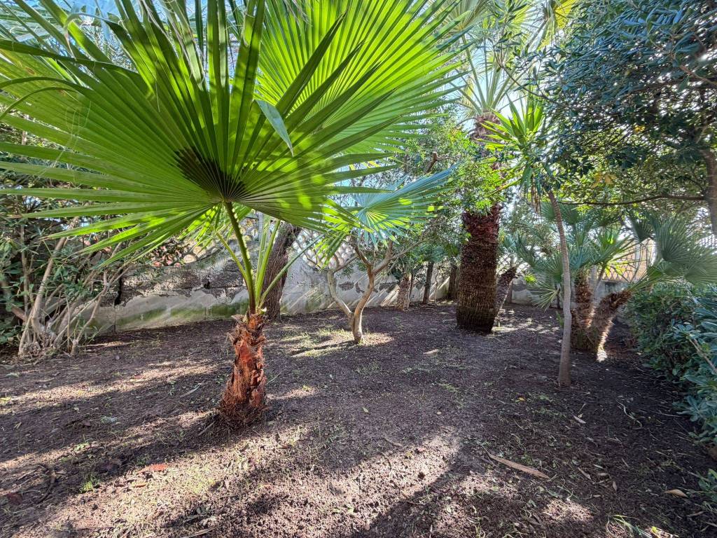 Villa a Lecce - Foto 4