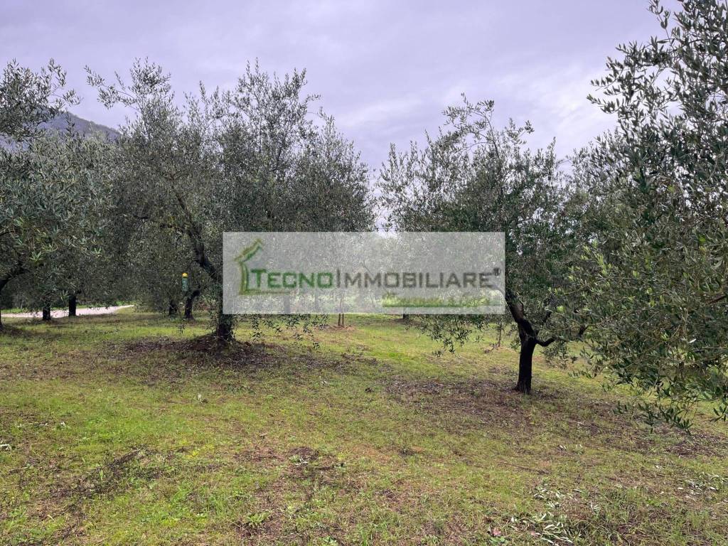 Terreno a Esperia in Monticelli - Foto 3