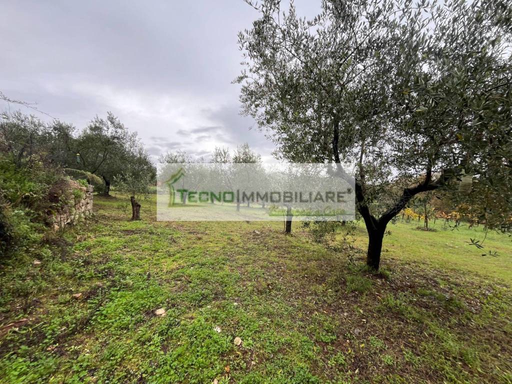 Terreno a Esperia in Monticelli - Foto 4