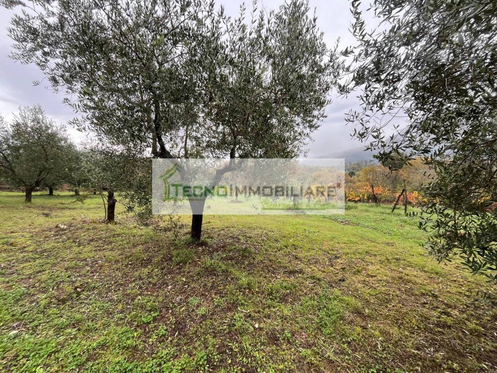 Terreno a Esperia in Monticelli - Foto 5