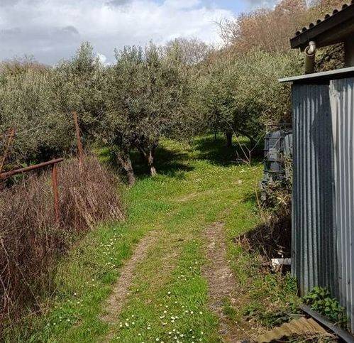 Terreno a Foligno - Foto 3