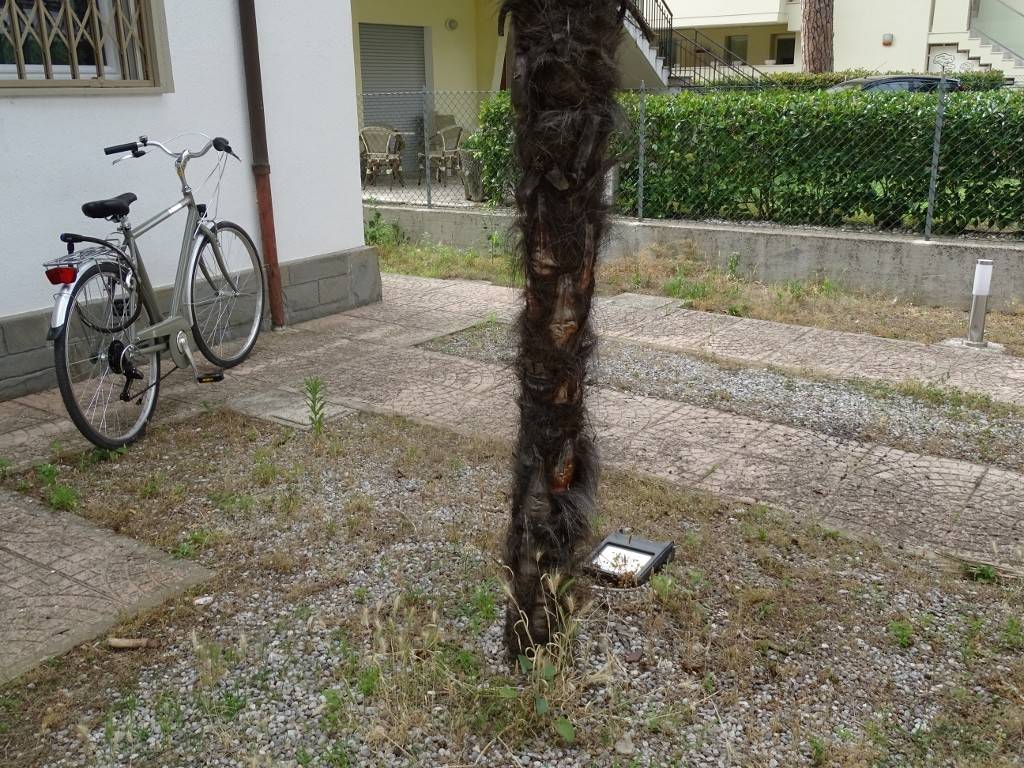 Appartamento a Cervia in Viale Giuseppe Verdi - Foto 3