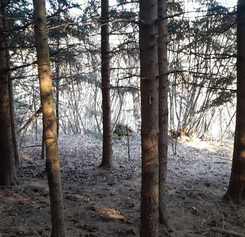 Terreno a Roana - Foto 5