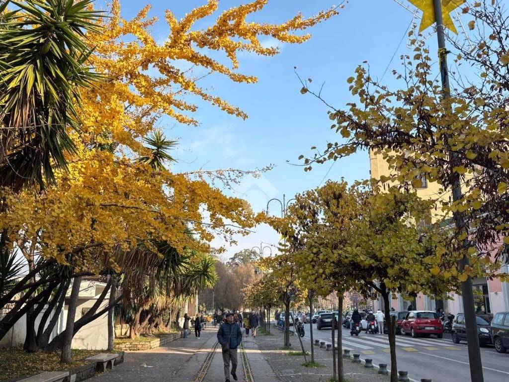 Appartamento a Castellammare di stabia in Via Giuseppe Bonito, 95 - Foto 3