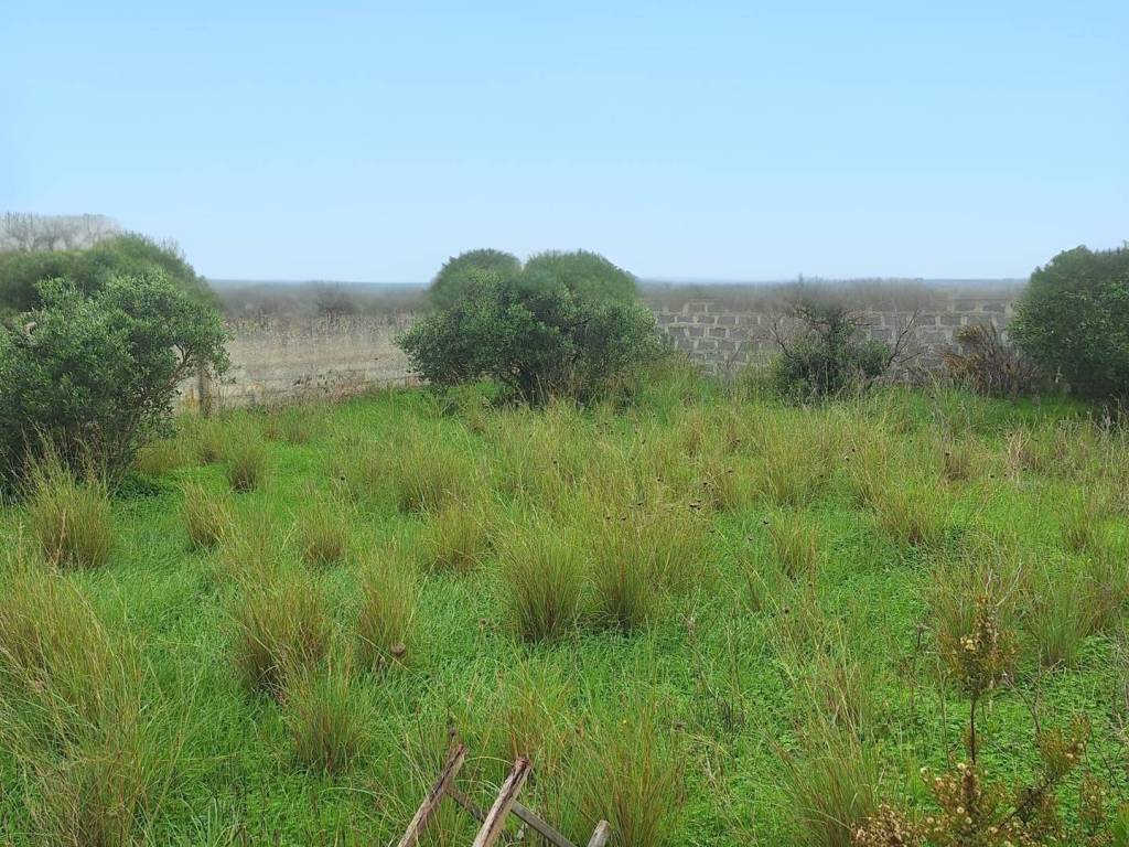 Rustico / casale a Mazara del vallo in Strada Statale Sud Occidentale Sicula - Foto 4
