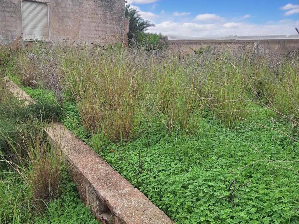 Rustico / casale a Mazara del vallo in Strada Statale Sud Occidentale Sicula - Foto 5