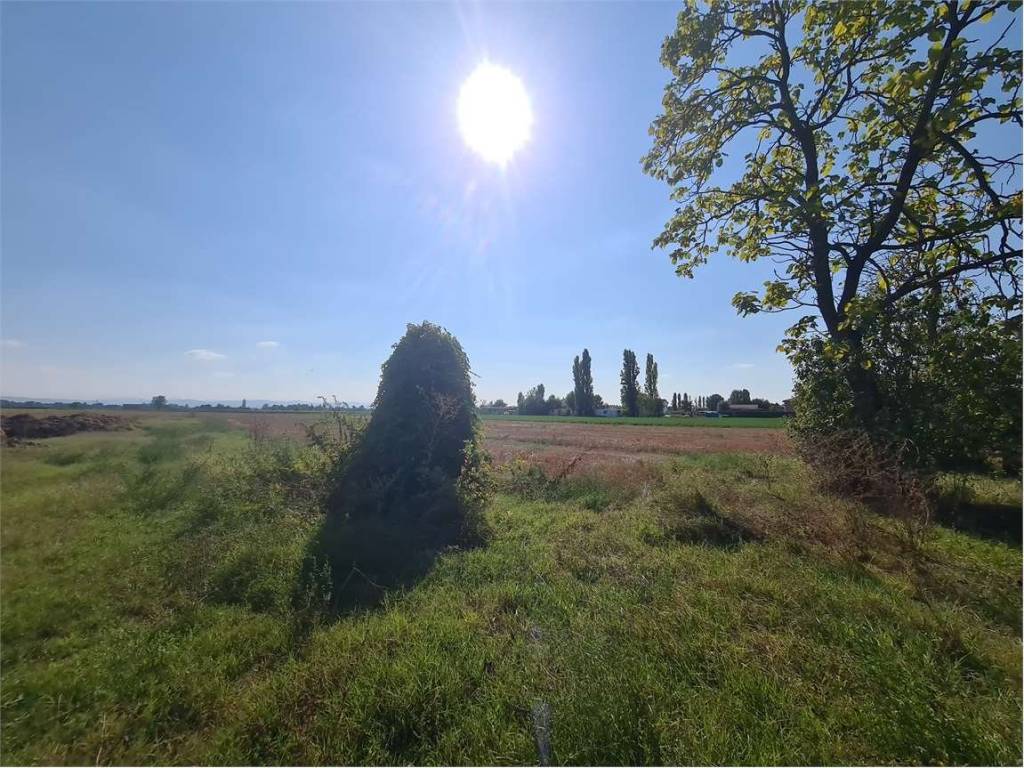 Rustico / casale a Correggio - Foto 4
