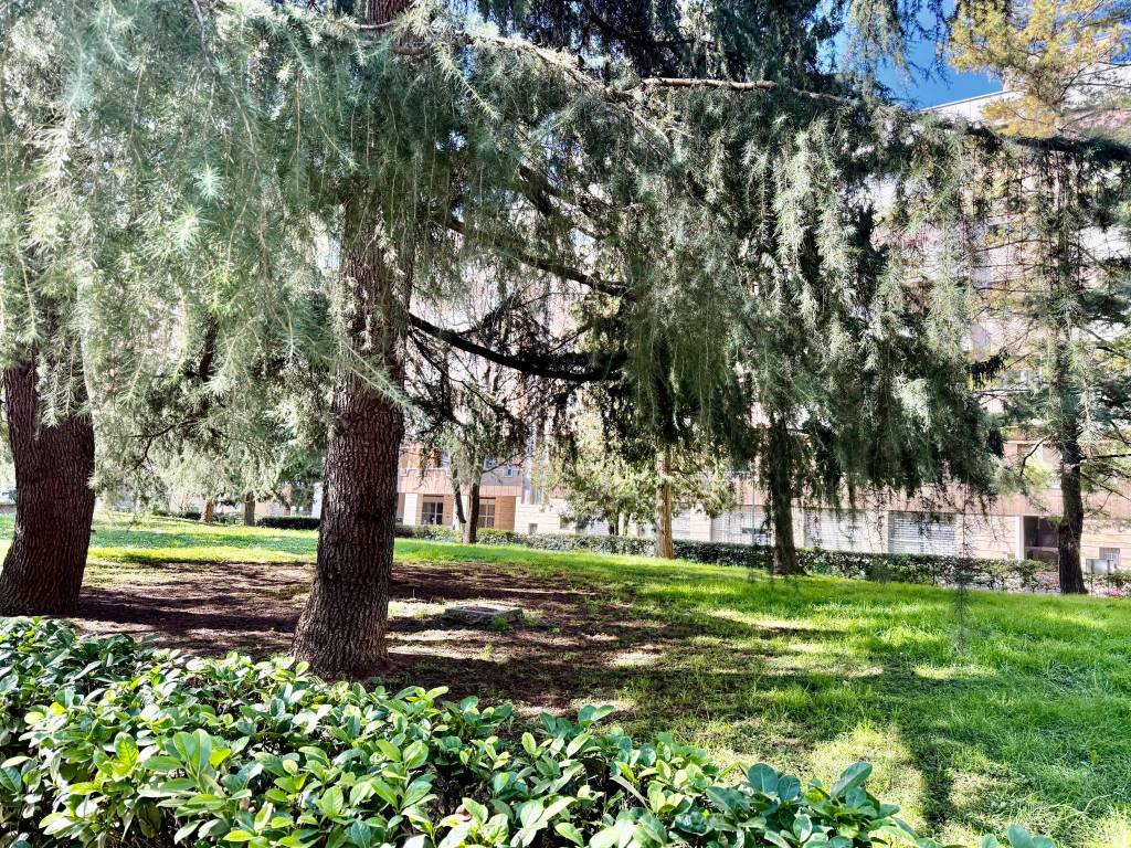 Appartamento a Brescia in Via Cipro - Foto 4
