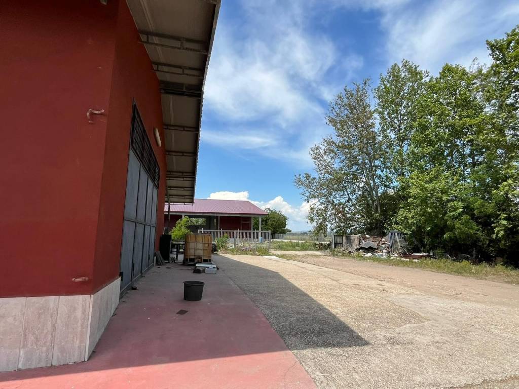 Appartamento a Fiumicino in Viale Maria - Foto 3