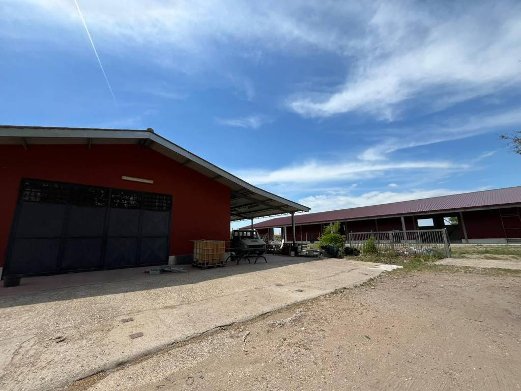 Appartamento a Fiumicino in Viale Maria - Foto 4