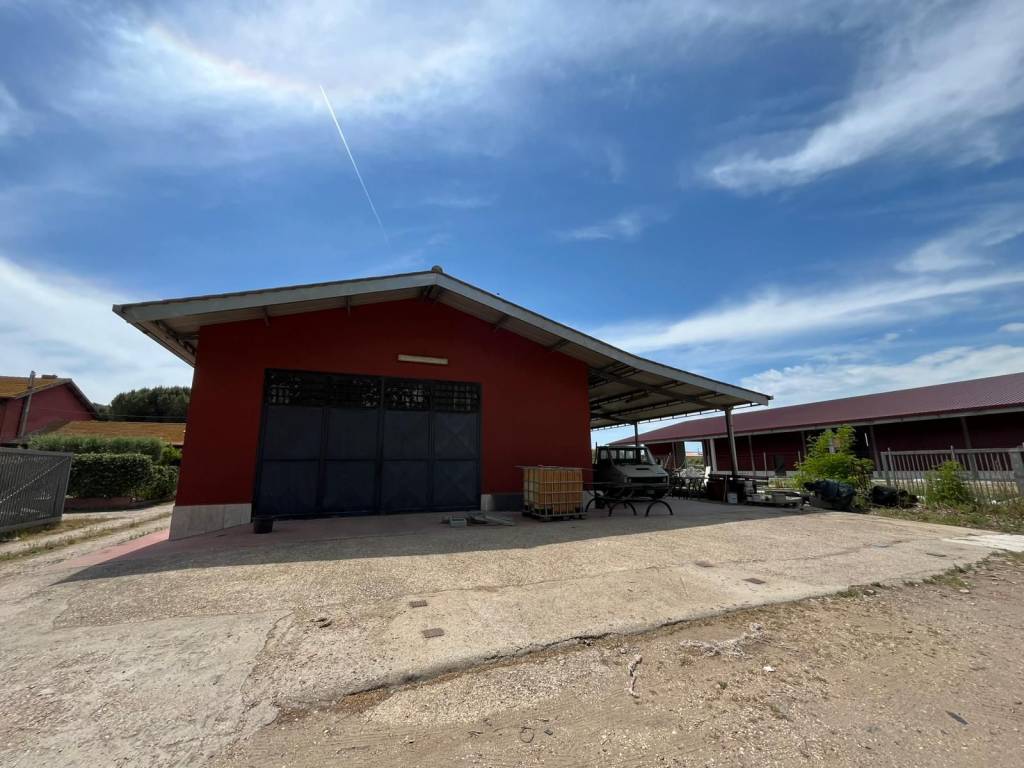 Appartamento a Fiumicino in Viale Maria - Foto 5