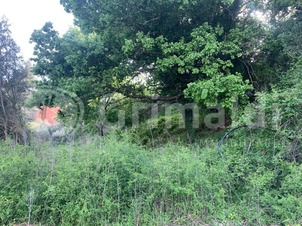 Rustico / casale a Perugia in Strada per Rancolfo, 49 - Foto 3