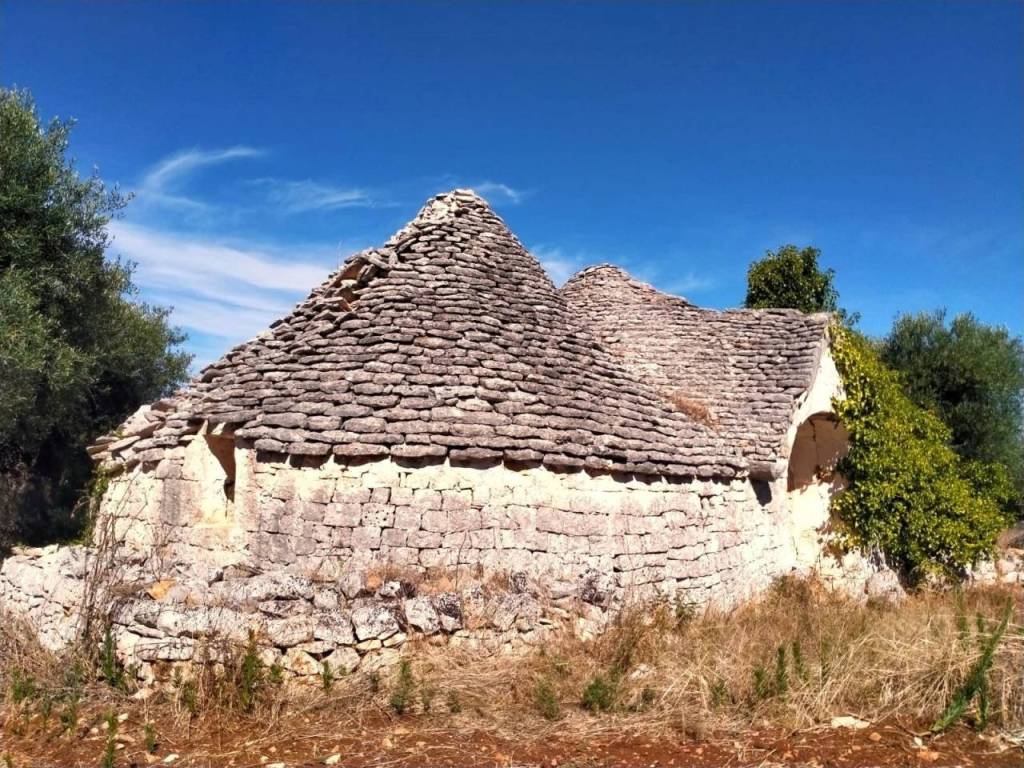 Rustico / casale a Monopoli in Contrada Barcato - Foto 3