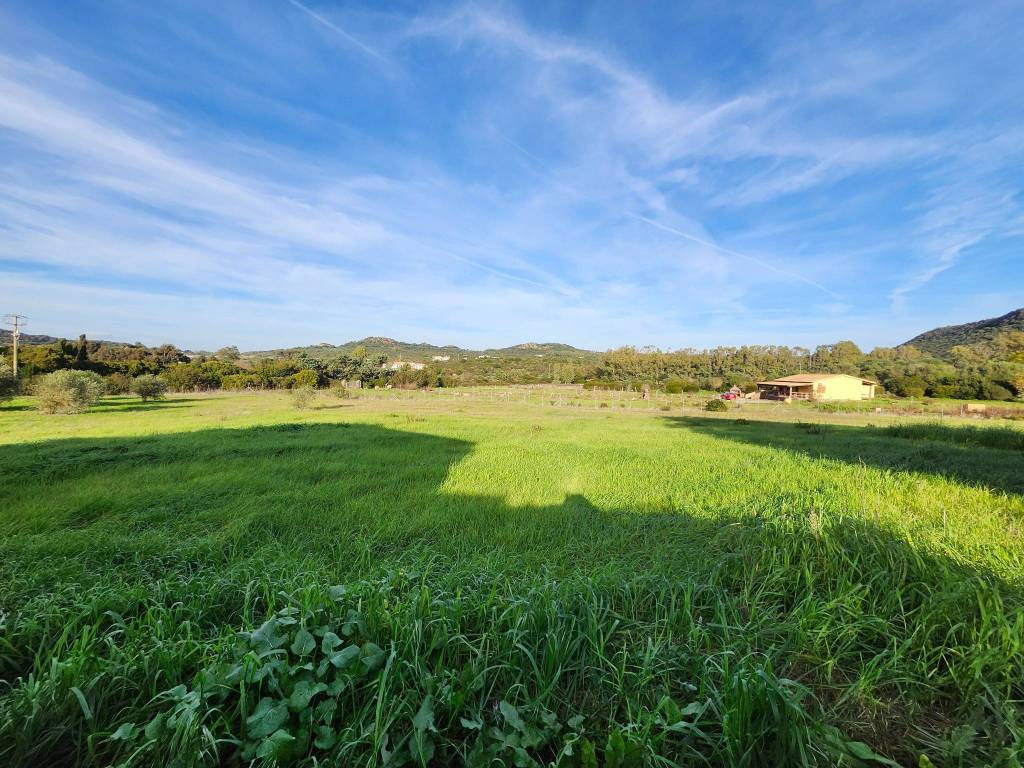 Villa a Alghero - Foto 4