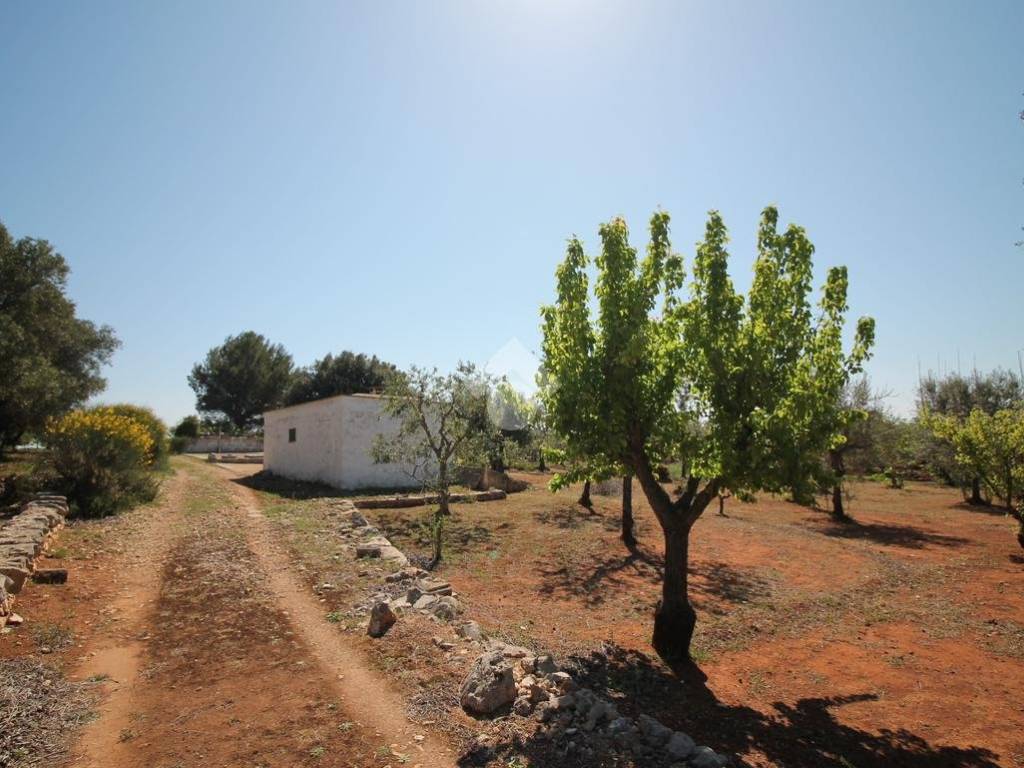 Rustico / casale a Ostuni - Foto 2
