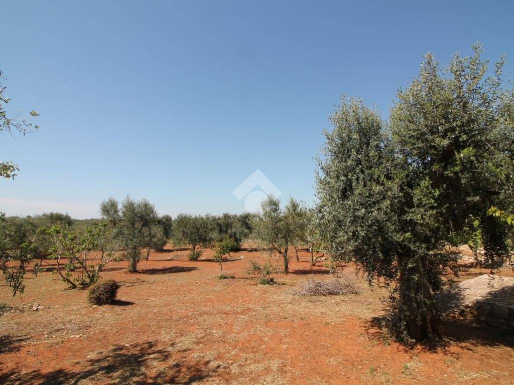 Rustico / casale a Ostuni - Foto 4