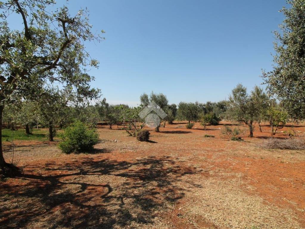 Rustico / casale a Ostuni - Foto 5