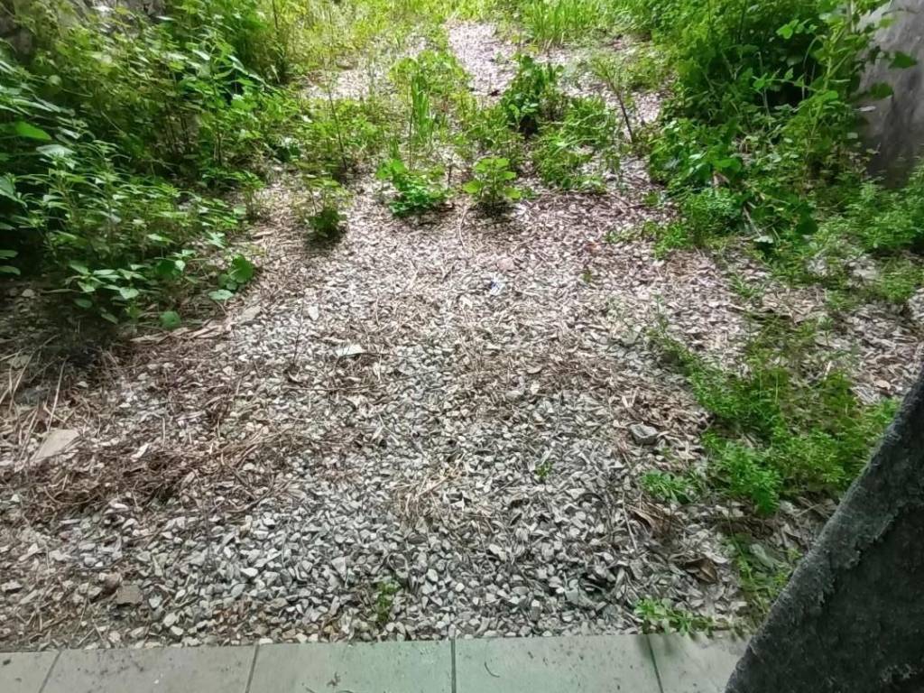 Immobile a Lucca in Via Borgo Giannotti, , 651 - Foto 3