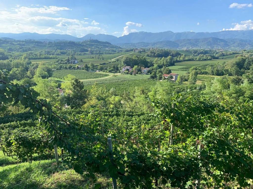 Terreno a Conegliano in Via Mangesa - Foto 2