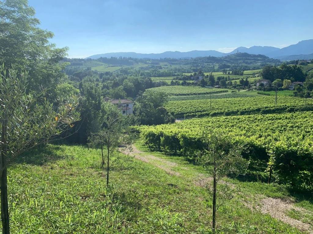 Terreno a Conegliano in Via Mangesa - Foto 3