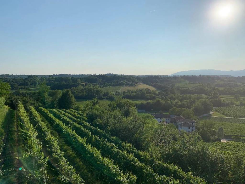 Terreno a Conegliano in Via Mangesa - Foto 4