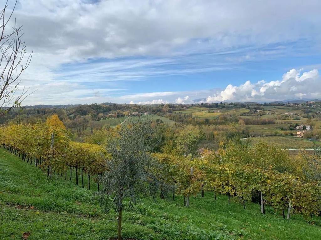 Terreno a Conegliano in Via Mangesa - Foto 5