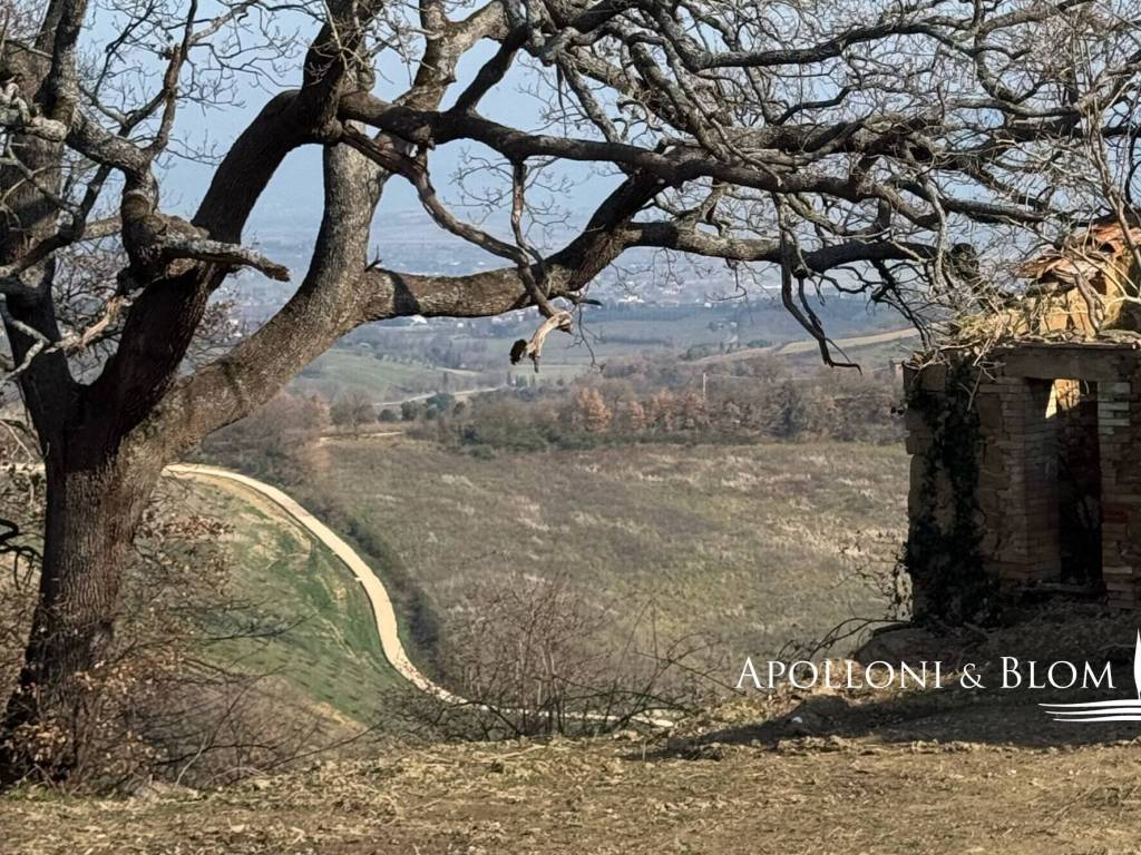 Rustico / casale a Torrita di siena - Foto 2