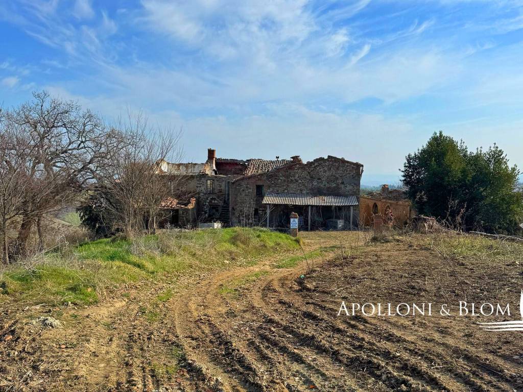 Rustico / casale a Torrita di siena - Foto 3