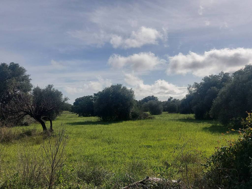 Terreno a Siracusa in Via per Floridia - Foto 2