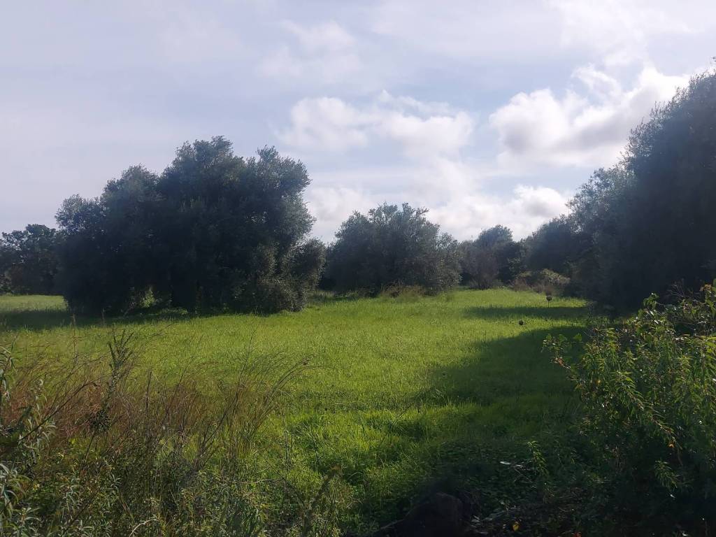 Terreno a Siracusa in Via per Floridia - Foto 3