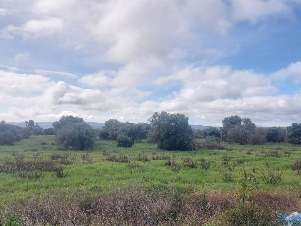 Terreno a Siracusa in Via per Floridia - Foto 5