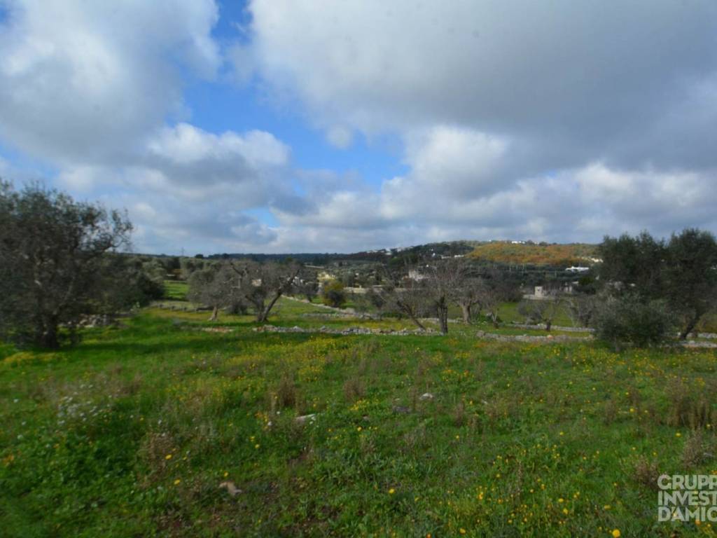 Rustico / casale a Ostuni in Contrada Vallegna - Foto 2