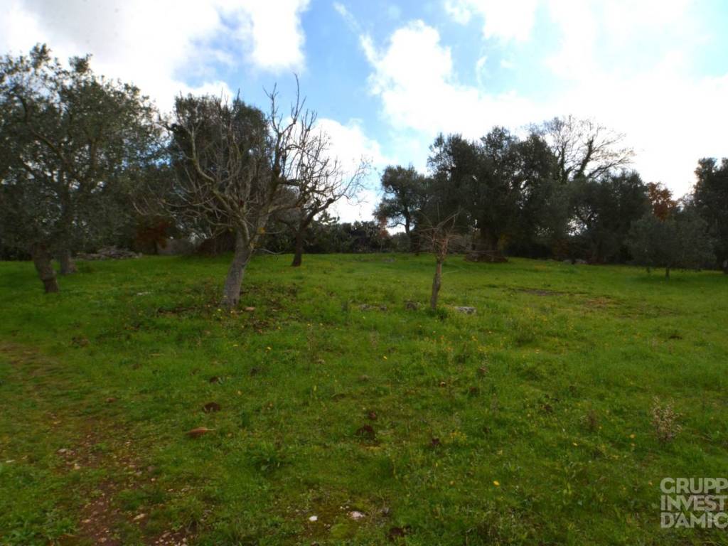 Rustico / casale a Ostuni in Contrada Vallegna - Foto 3