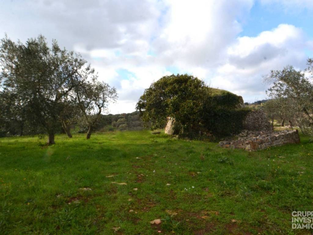 Rustico / casale a Ostuni in Contrada Vallegna - Foto 4
